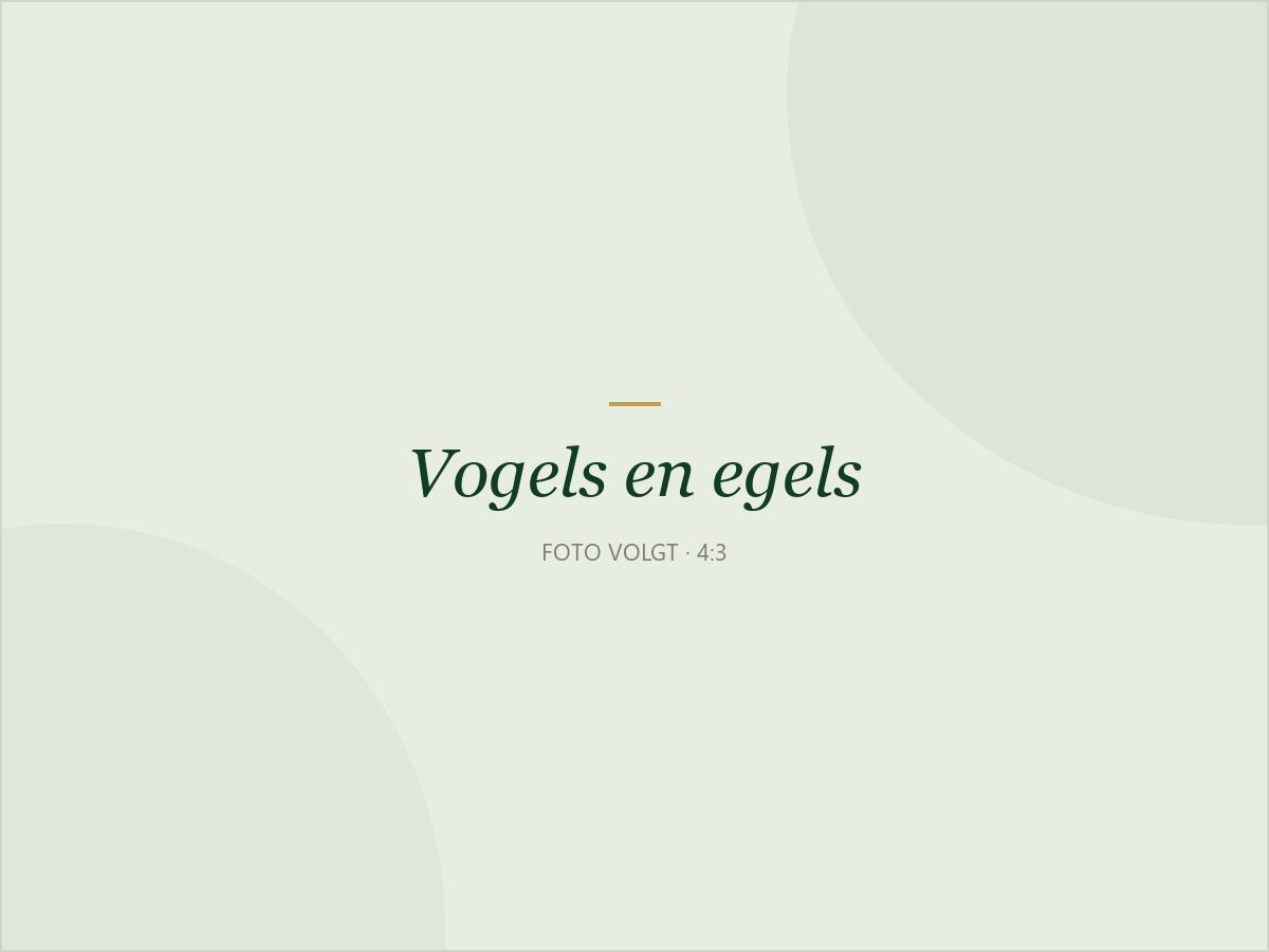 Vogelvoederplaats en egelhuis