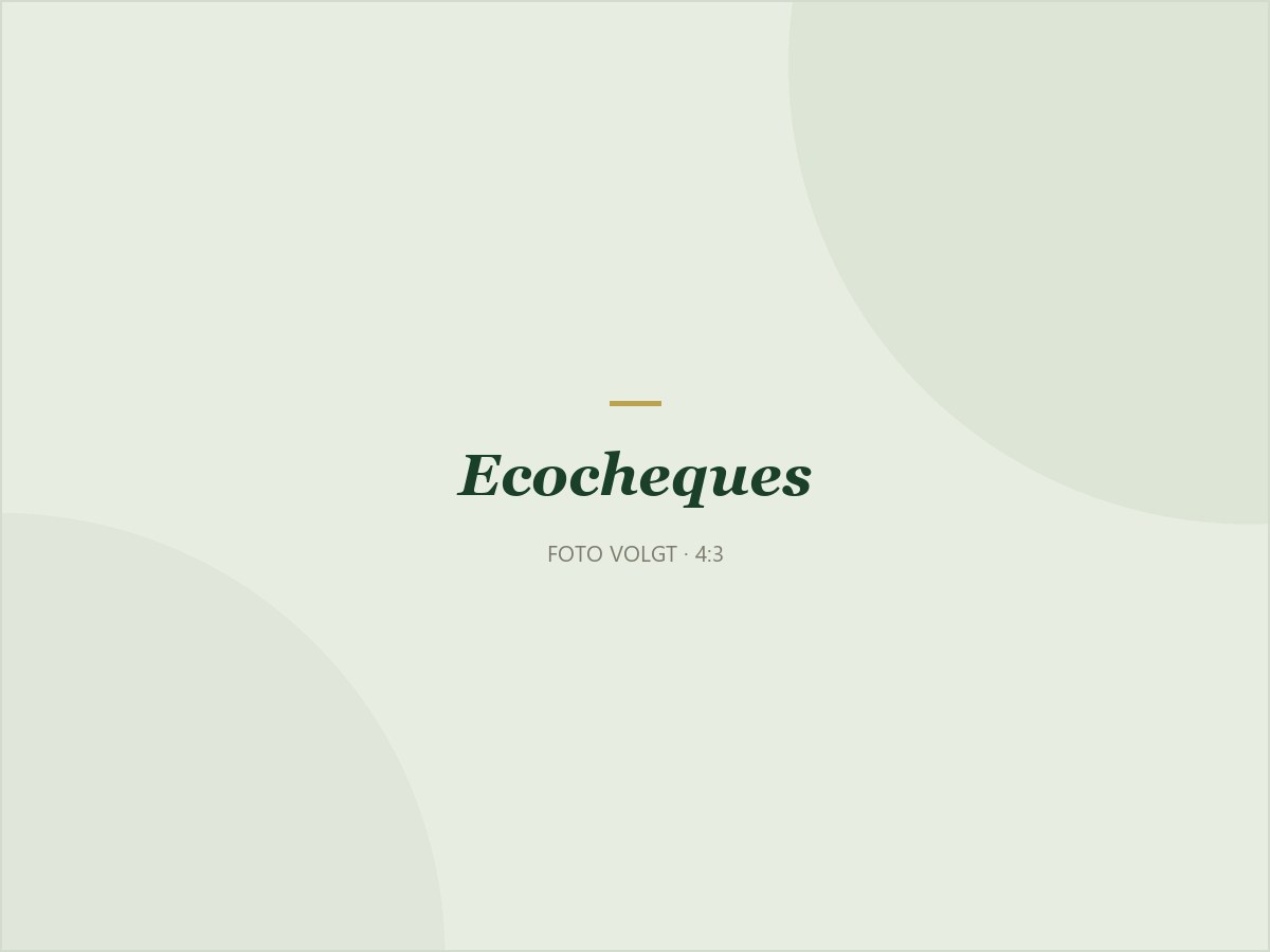 Ecocheques