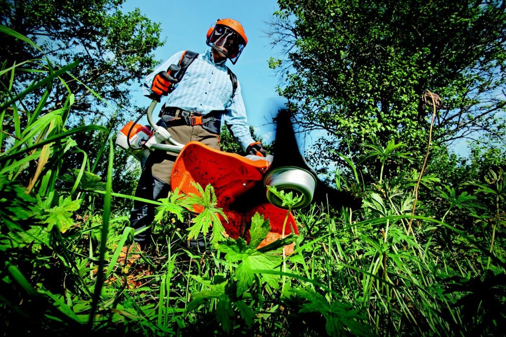 🌱 Voorjaarstips voor een gezond en groen gazon