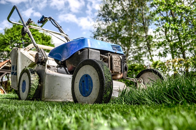 🌱 Voorjaarstips voor een gezond en groen gazon