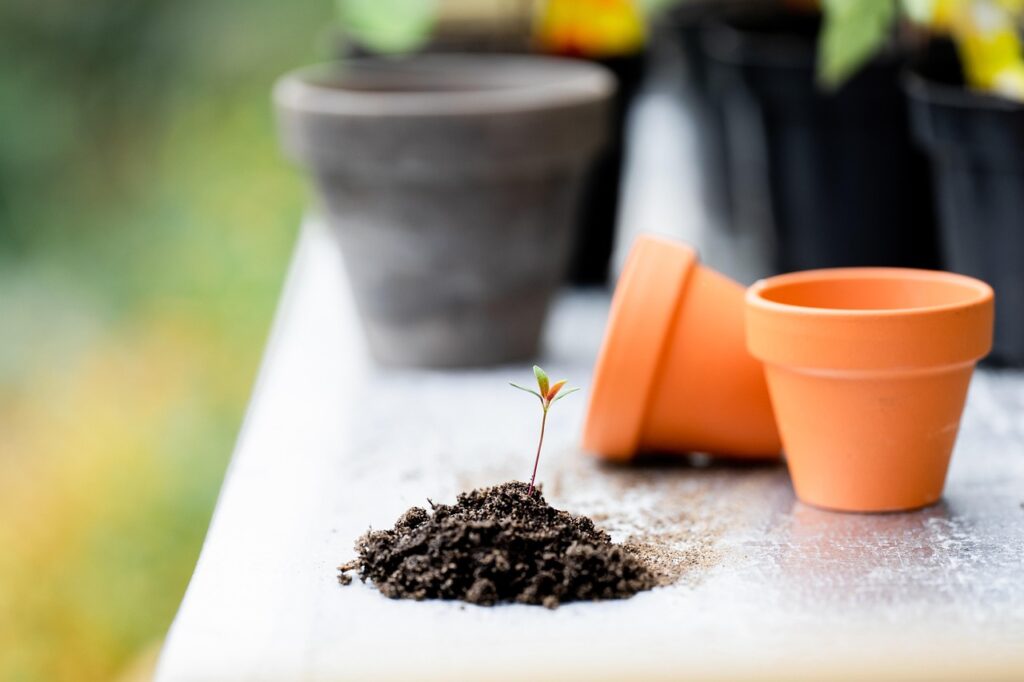 🌱 Voorjaarstips voor een gezond en groen gazon
